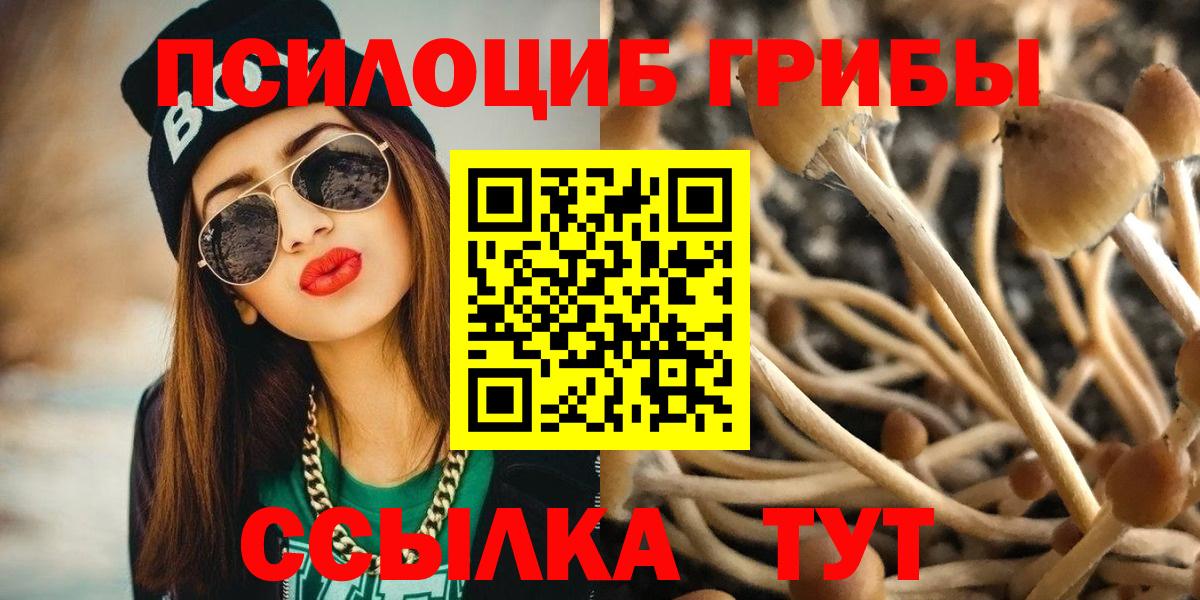Чапаевск  Галлюциногенные грибы мицелий  Вход с VPN 